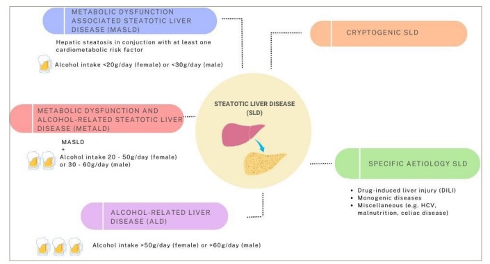 Figure 1:Aetiologies of steatotic liver disease